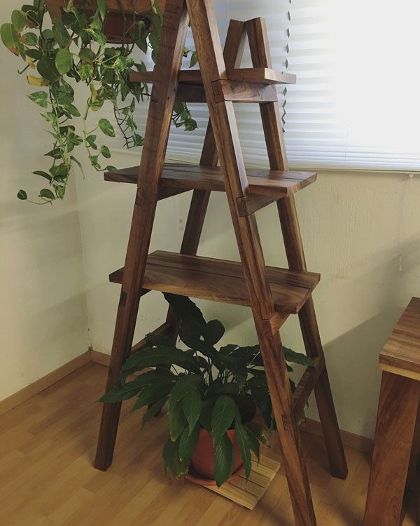 Escalera Organizador